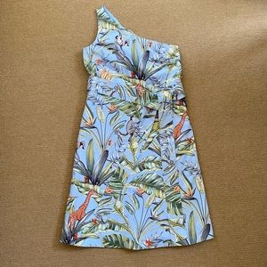 Ann Taylor dress, size 8
